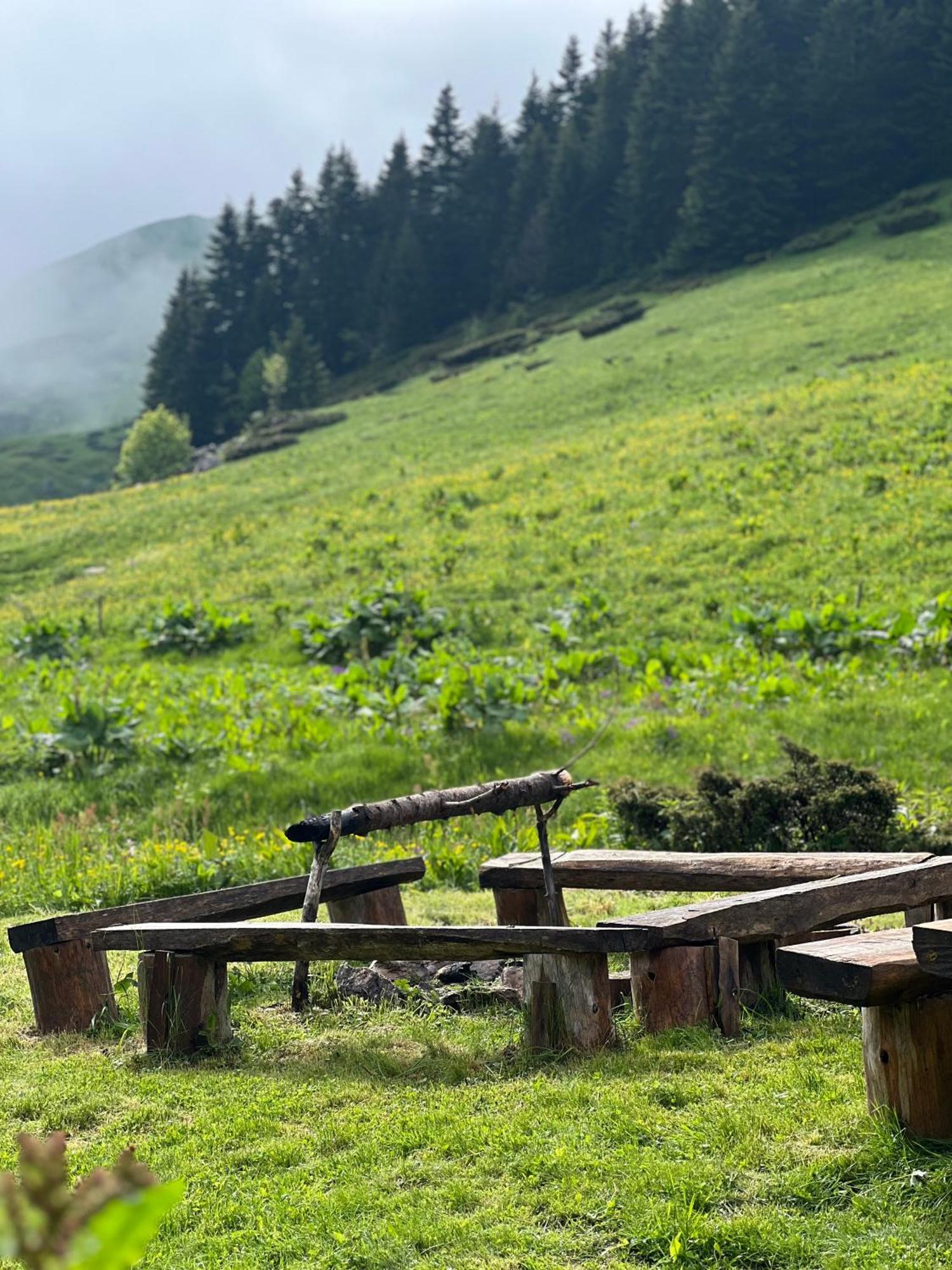 Eko Katun Damjanovic - Bjelasica Mojkovac Dış mekan fotoğraf