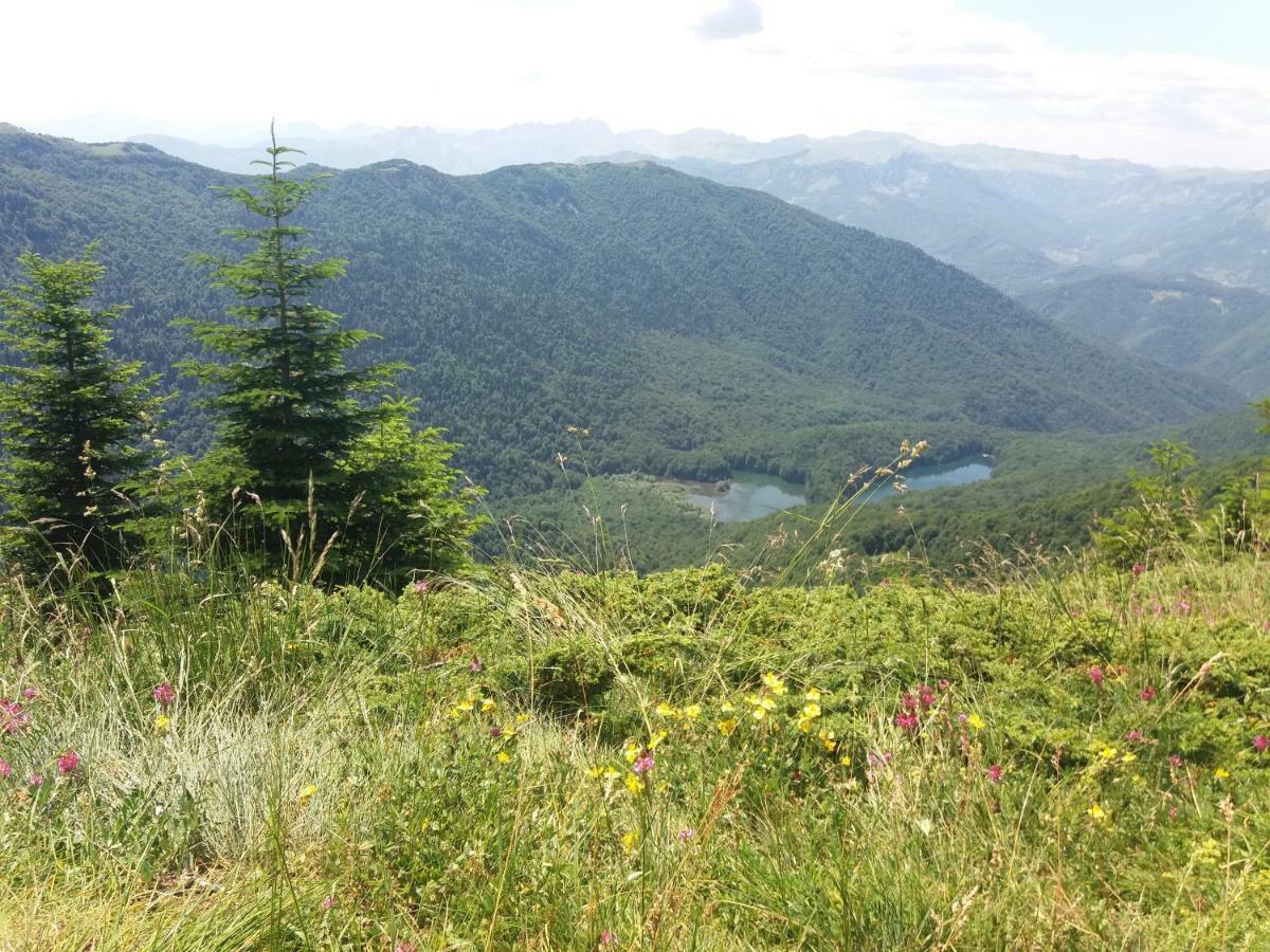 Eko Katun Damjanovic - Bjelasica Mojkovac Dış mekan fotoğraf