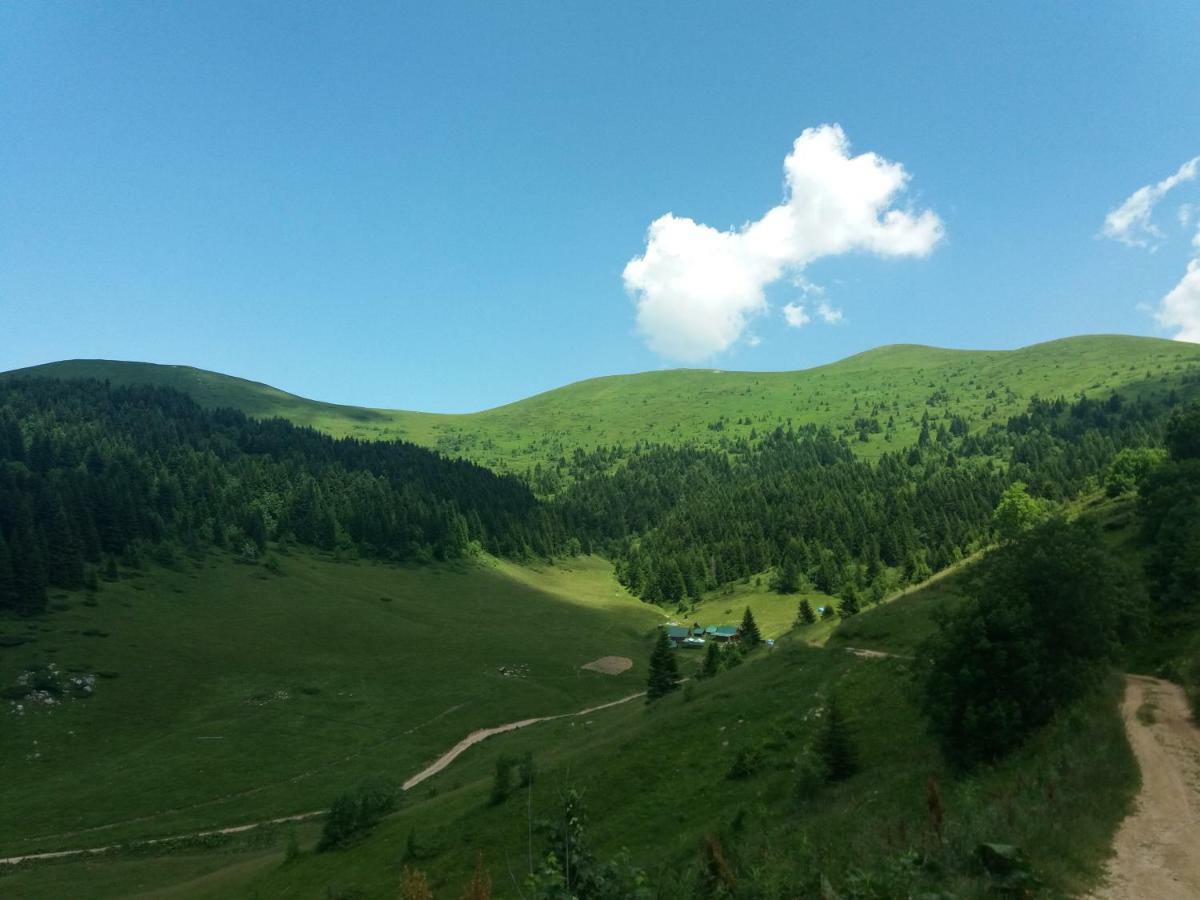 Eko Katun Damjanovic - Bjelasica Mojkovac Dış mekan fotoğraf