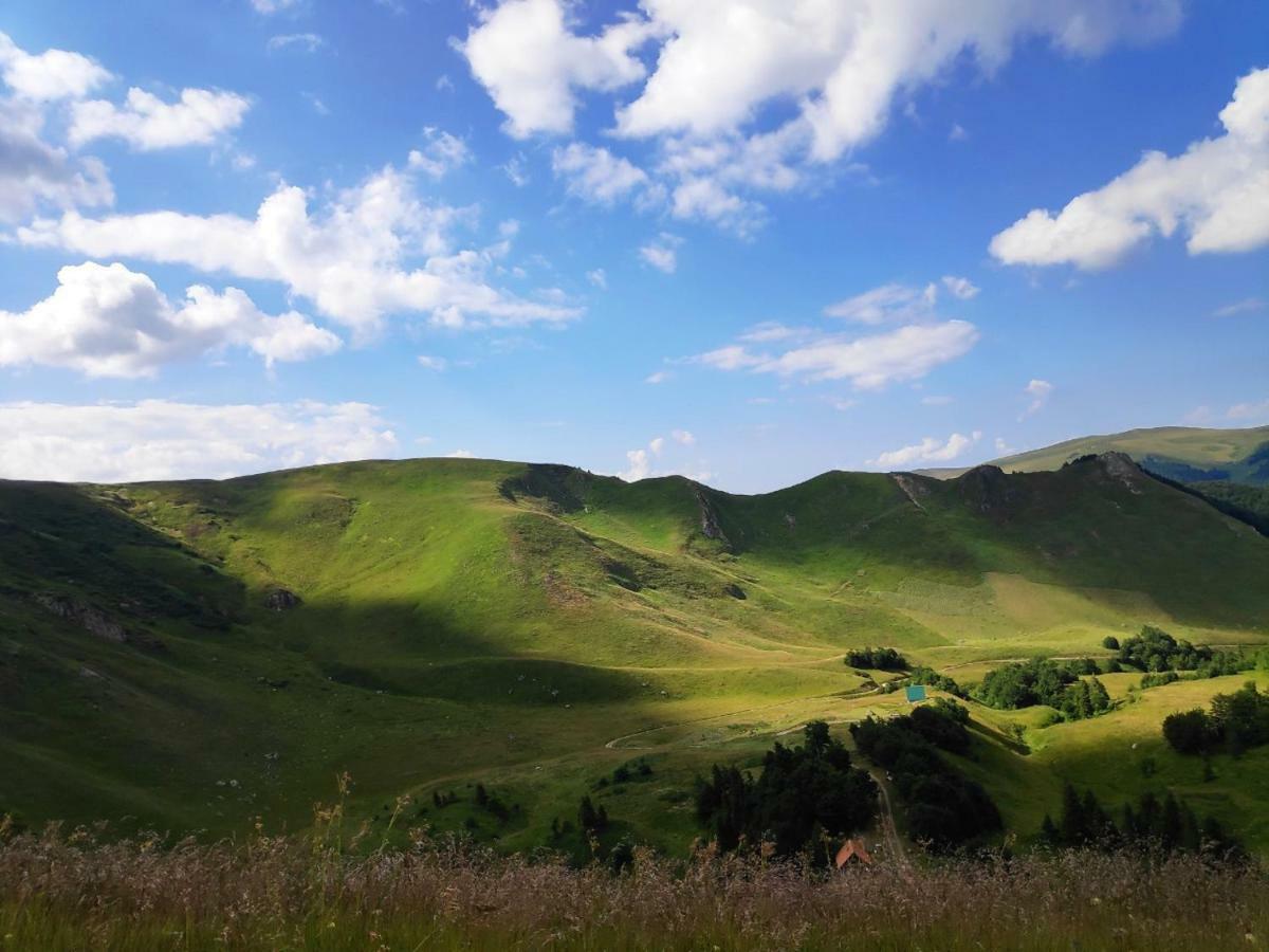 Eko Katun Damjanovic - Bjelasica Mojkovac Dış mekan fotoğraf
