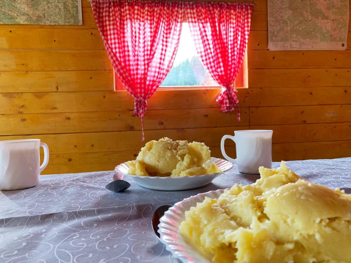 Eko Katun Damjanovic - Bjelasica Mojkovac Dış mekan fotoğraf