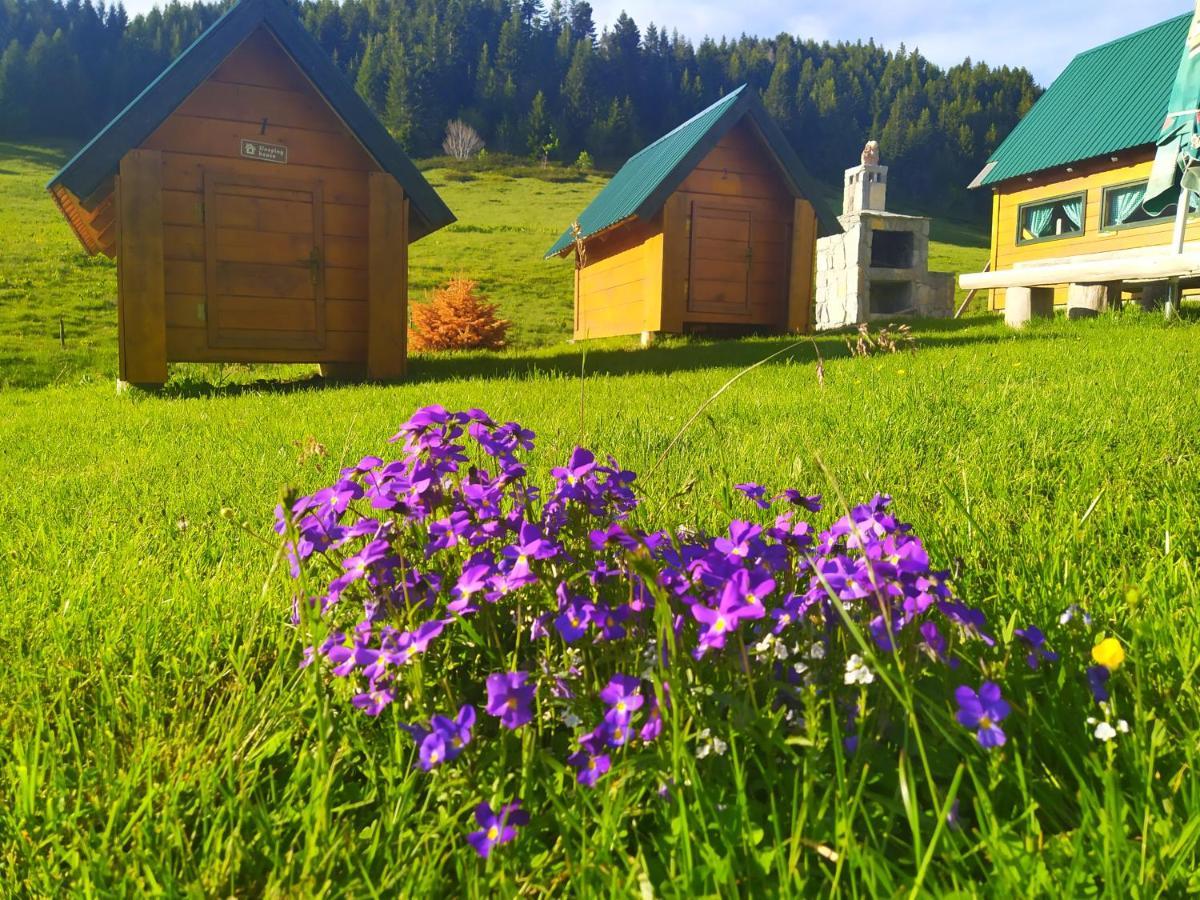 Eko Katun Damjanovic - Bjelasica Mojkovac Dış mekan fotoğraf